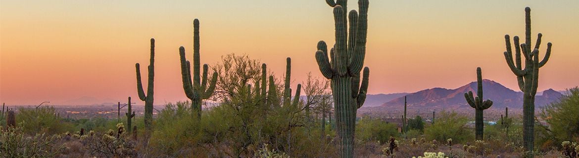 Arizona